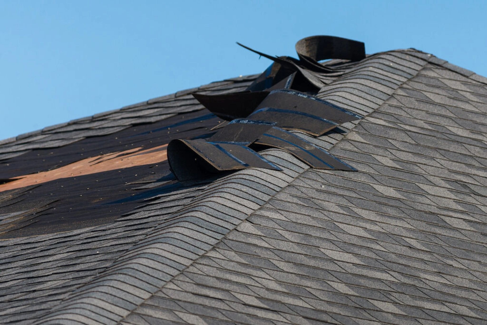 Storm damaged roof with lifted shingles